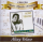 CD Altay Veloso - Coleção Música Popular Brasileira: Nascido Em 22 De Abril