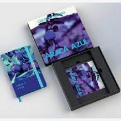 Box Caetano Veloso - Araçá Azul (FAN BOX)