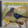 CD O Canto Dos Pássaros Do Brasil (20 Cantos Diferentes)