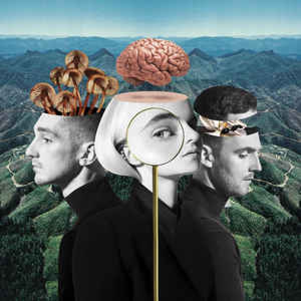 CD Clean Bandit - What Is Love