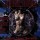 CD Dimmu Borgir - Puritanical Euphoric Misanthropia