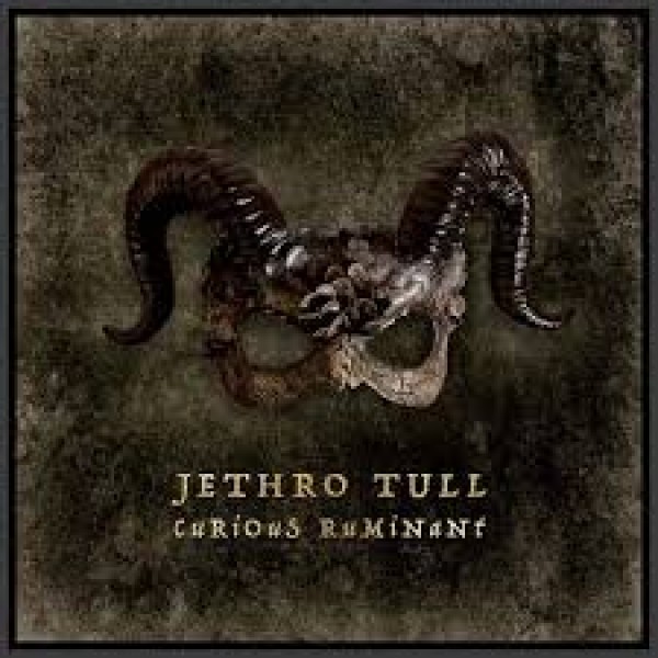 CD Jethro Tull - Curious Ruminant CD Jethro Tull - Curious Ruminant