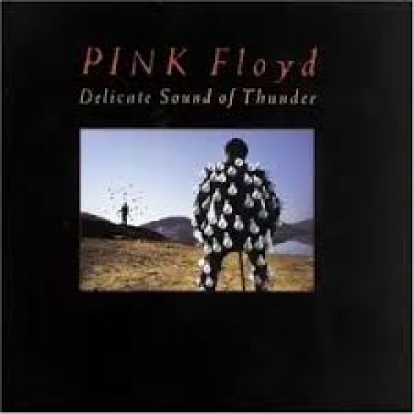 CD Pink Floyd - Delicate Sound Of Thunder (DUPLO)