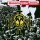 CD Queensryche - Operation: Mindicrime (IMPORTADO)
