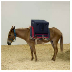 CD Rodrigo Campos, Juçara Marçal e Gui Amabis ‎- Sambas do Absurdo (Digipack)