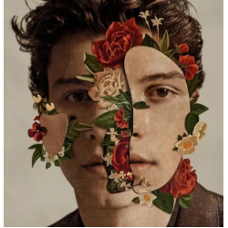 CD Shawn Mendes - Shawn Mendes (Deluxe Edition - 2019)