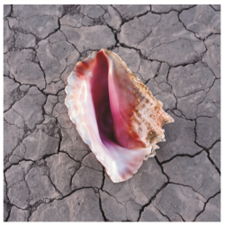 CD The Killers - Wonderful Wonderful