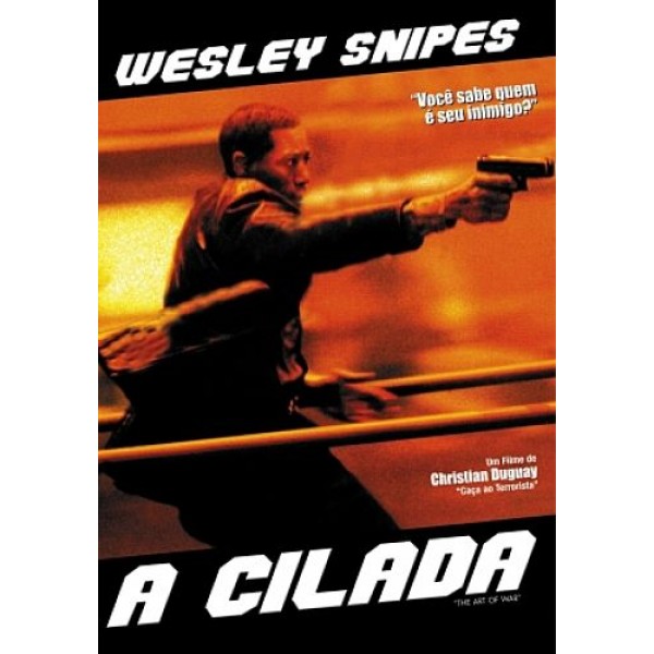 DVD A Cilada