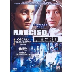 DVD Narciso Negro