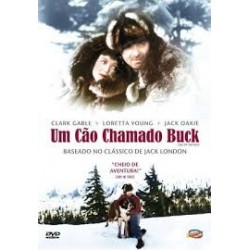 DVD Um Cão Chamado Buck