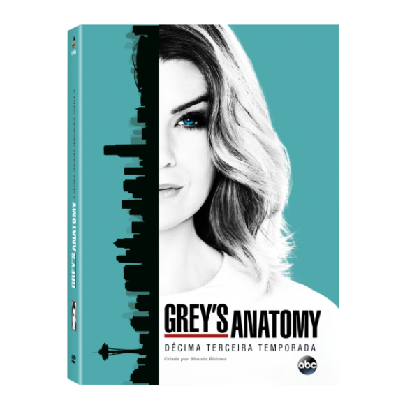 Box Grey's Anatomy - Décima Terceira Temporada (6 DVD's)