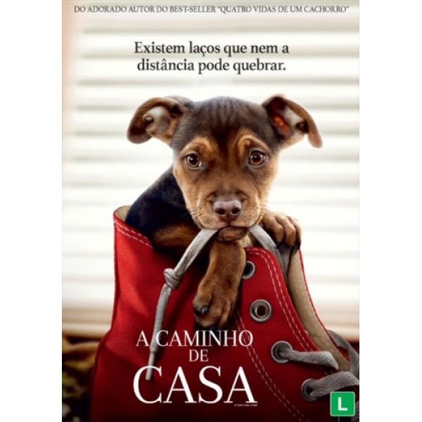 DVD A Caminho De Casa