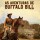 DVD As Aventuras De Buffalo Bill