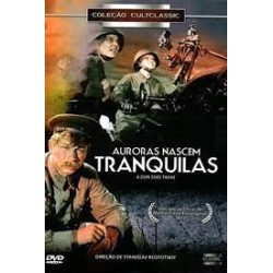 DVD Auroras Nascem Tranquilas