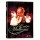 DVD Entre Mulheres