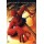 DVD Homem-Aranha (2 DVD's)