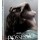 DVD Possessão