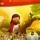 Box Jesus - Um Reino Sem Fronteiras (6 DVD's)