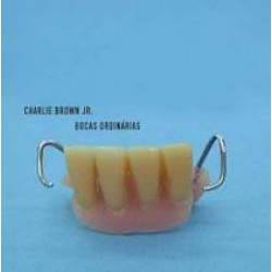 LP Charlie Brown Jr. - Bocas Ordinárias