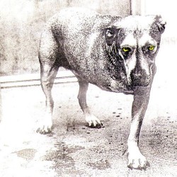 CD Alice In Chains - Alice In Chains (IMPORTADO)