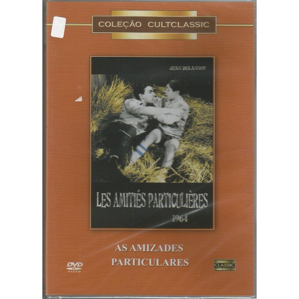 DVD As Amizades Particulares