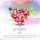 CD Amor D+ - Vol. 3