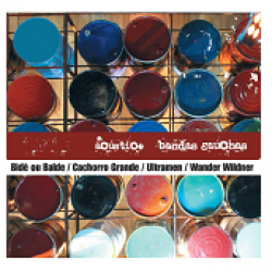CD Bandas Gaúchas - Acústico