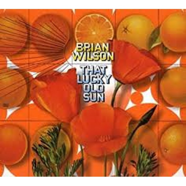 CD + DVD Brian Wilson - That Lucky Old Sun