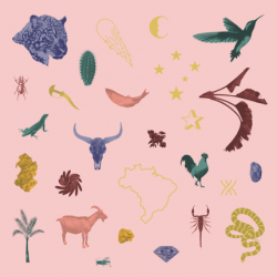 CD Delírio de Um Romance A Céu Aberto - As Canções de Zé Manoel