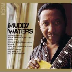 CD Muddy Waters - Icon