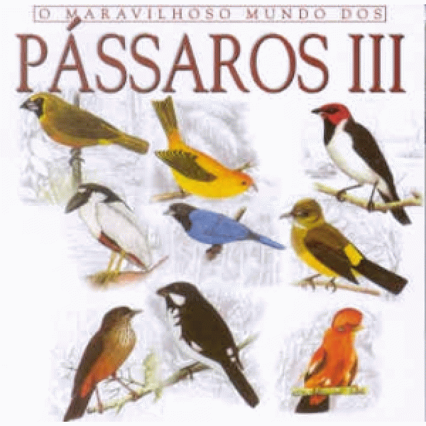 CD O Maravilhoso Mundo Dos Pássaros III