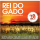 CD Rei Do Gado - Solos de Viola Sertaneja